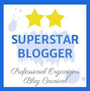 Superstar Blogger Professional Organizers